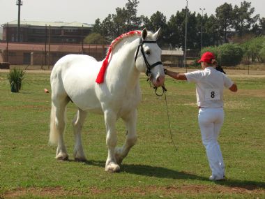 Pta skou 2009 021_1_th1.jpg